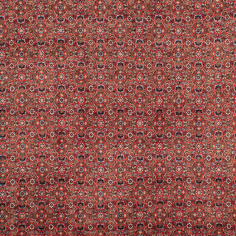Perserteppich - Bidjar 307 x 208 cm