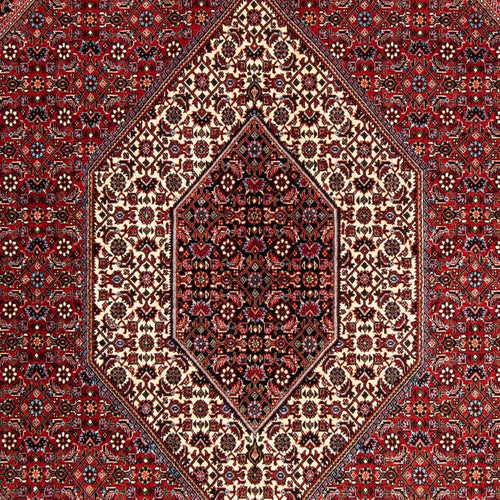 Perserteppich - Bidjar 252 x 170 cm