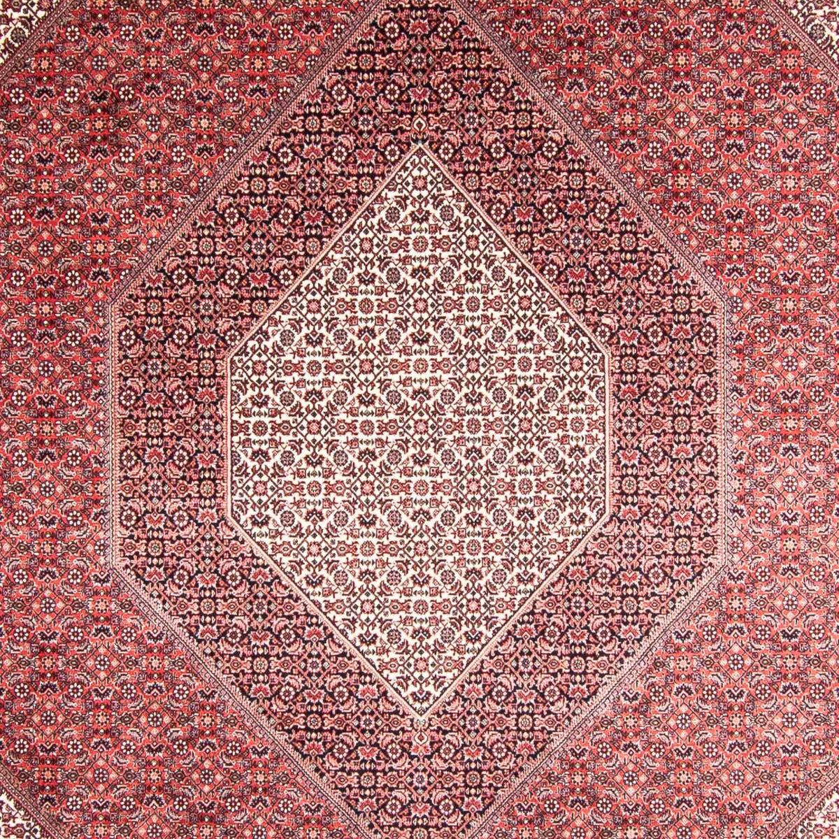 Perserteppich - Bidjar 355 x 248 cm