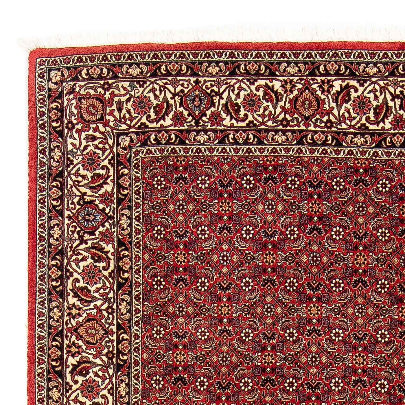 Bidjar Tappeto 248x174cm - Tappeto persiano