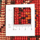 Perserteppich - Nomadic 290 x 195 cm