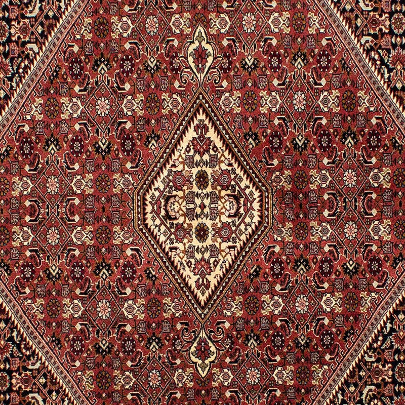 Perserteppich - Bidjar 254 x 176 cm