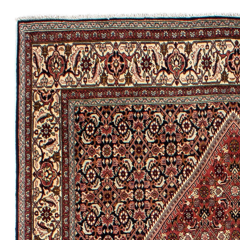 Perserteppich - Bidjar 254 x 176 cm