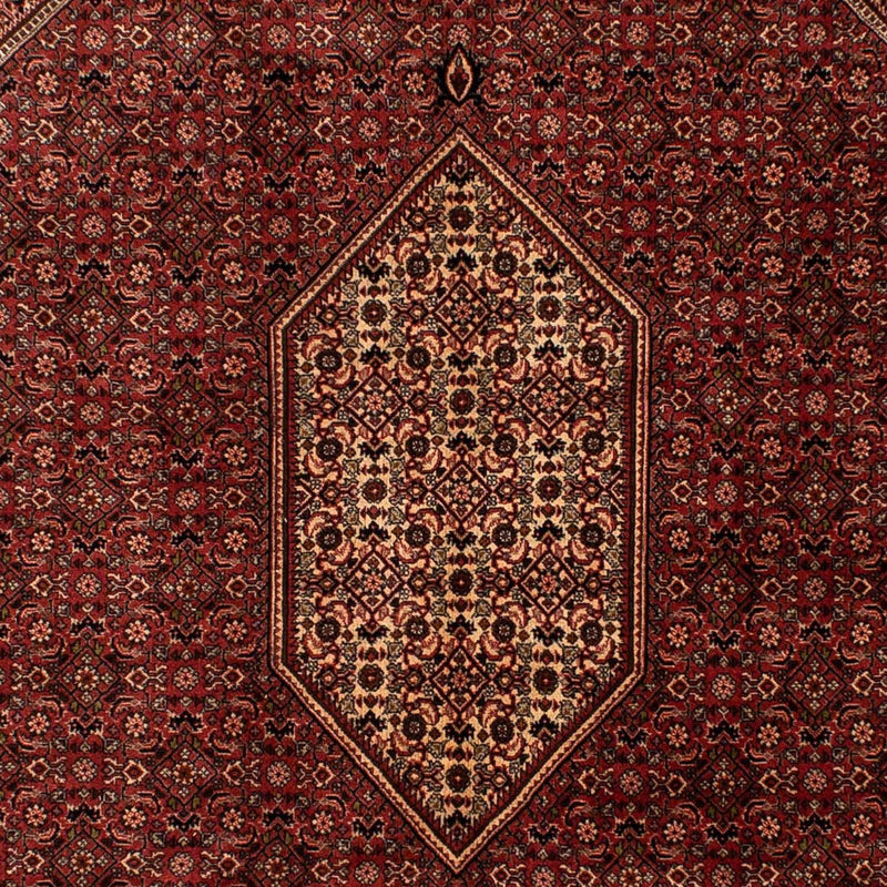 Perserteppich - Bidjar 293 x 200 cm