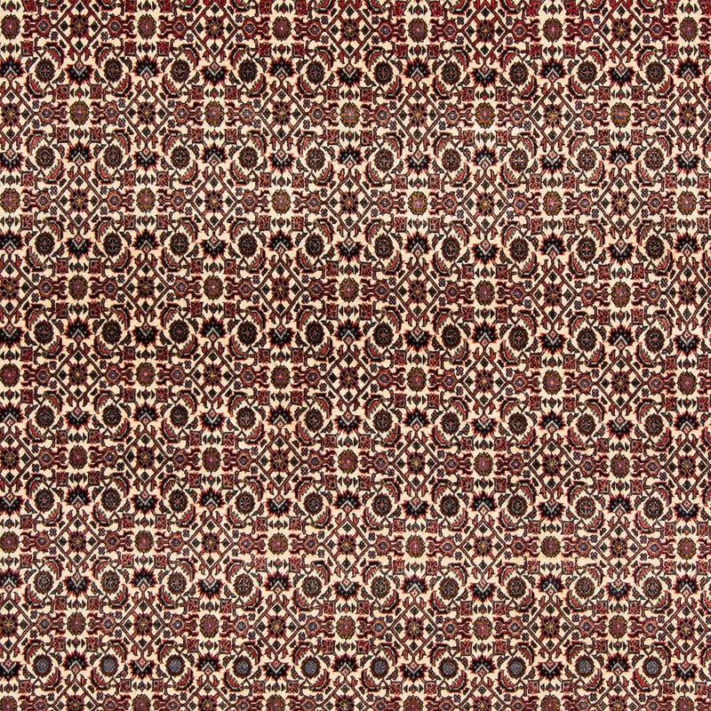 Perserteppich - Bidjar 204 x 201 cm