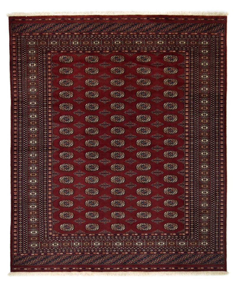 Afghan Teppich - Buchara 244 x 205 cm