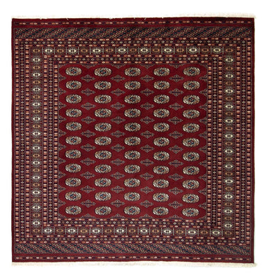 Afghan Teppich - Buchara 203 x 199 cm