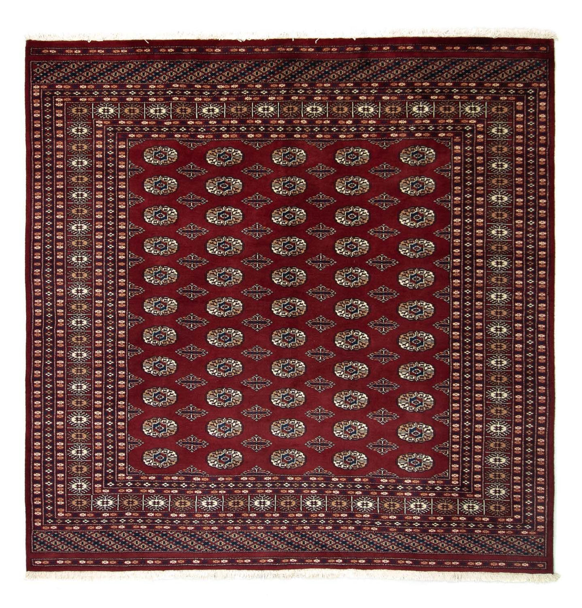 Afghan Teppich - Buchara 203 x 199 cm