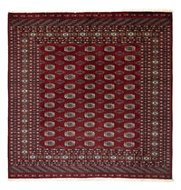 Tapis afghan - Boukhara carré  - 203 x 199 cm - rouge