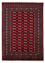Afghan Teppich - Buchara 240 x 170 cm