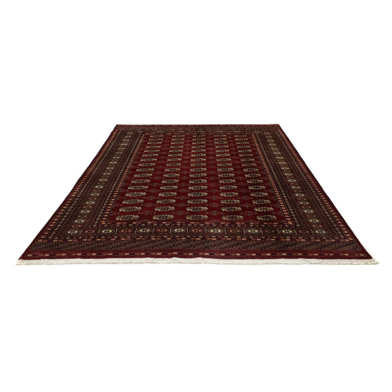 Afghan Teppich - Buchara 244 x 198 cm
