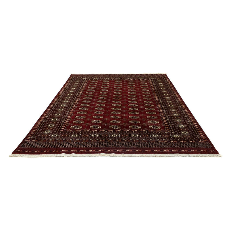 Afghan Teppich - Buchara 241 x 197 cm