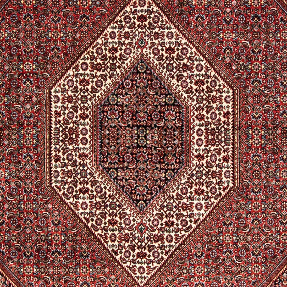 Perserteppich - Bidjar 239 x 166 cm