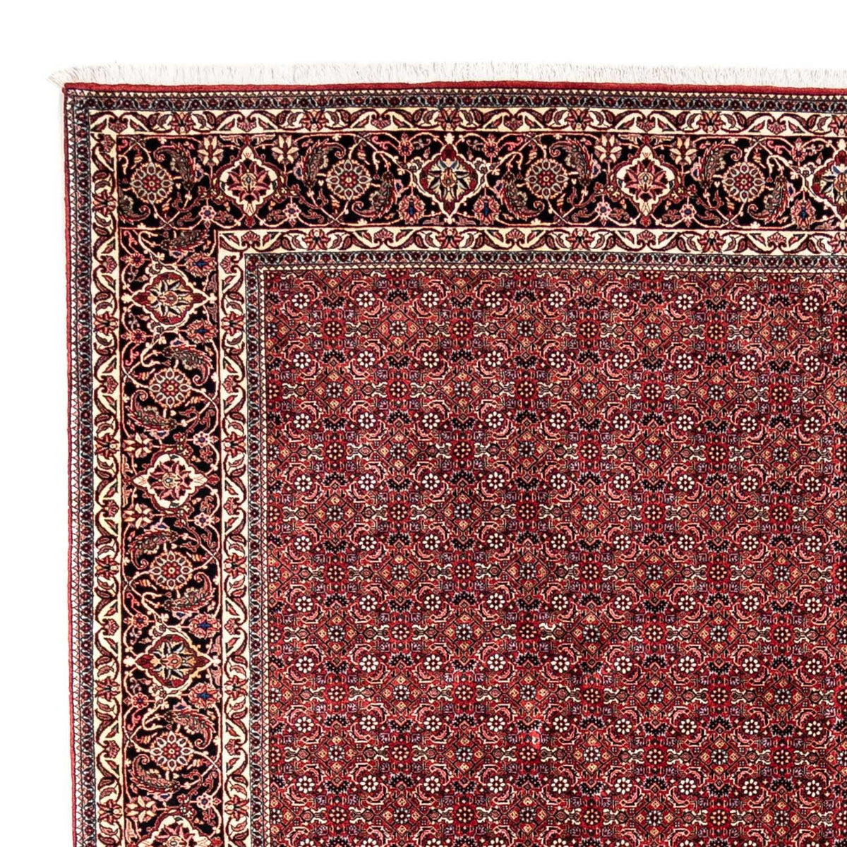 Perserteppich - Bidjar - Royal 350 x 252 cm - rot