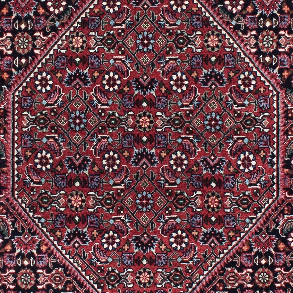 Perserteppich - Bidjar - Royal 213 x 75 cm