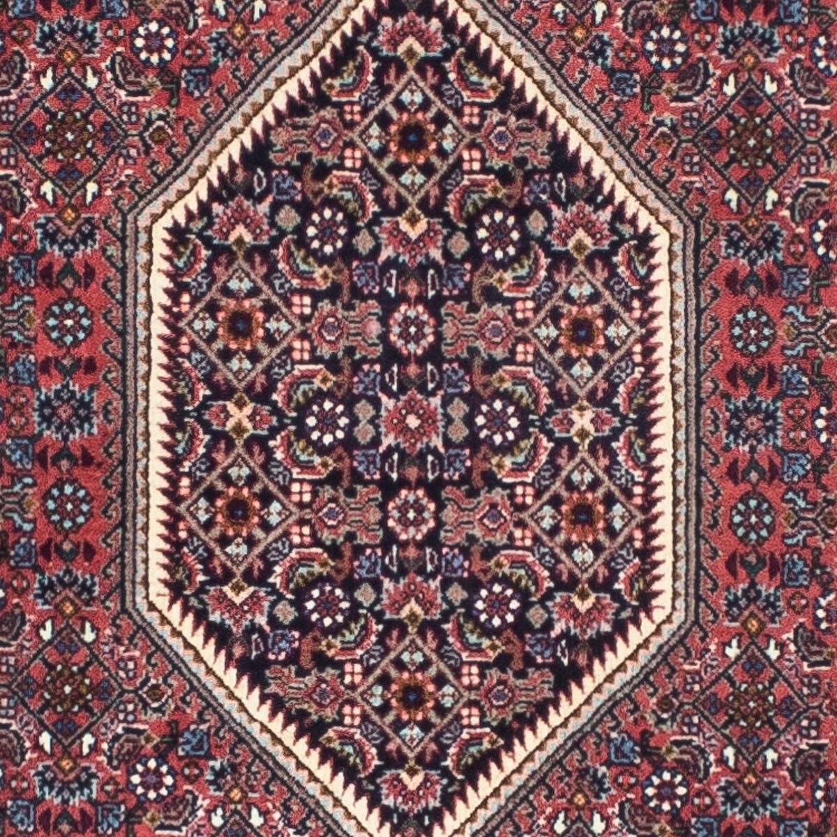 Perserteppich - Bidjar - Royal 245 x 74 cm