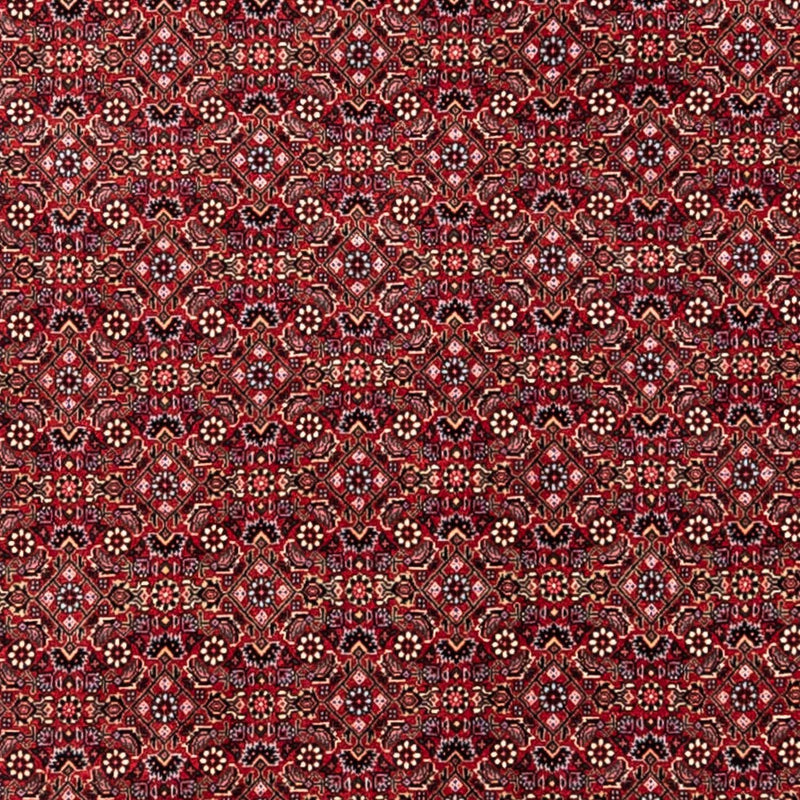Perserteppich - Bidjar - Royal 338 x 252 cm