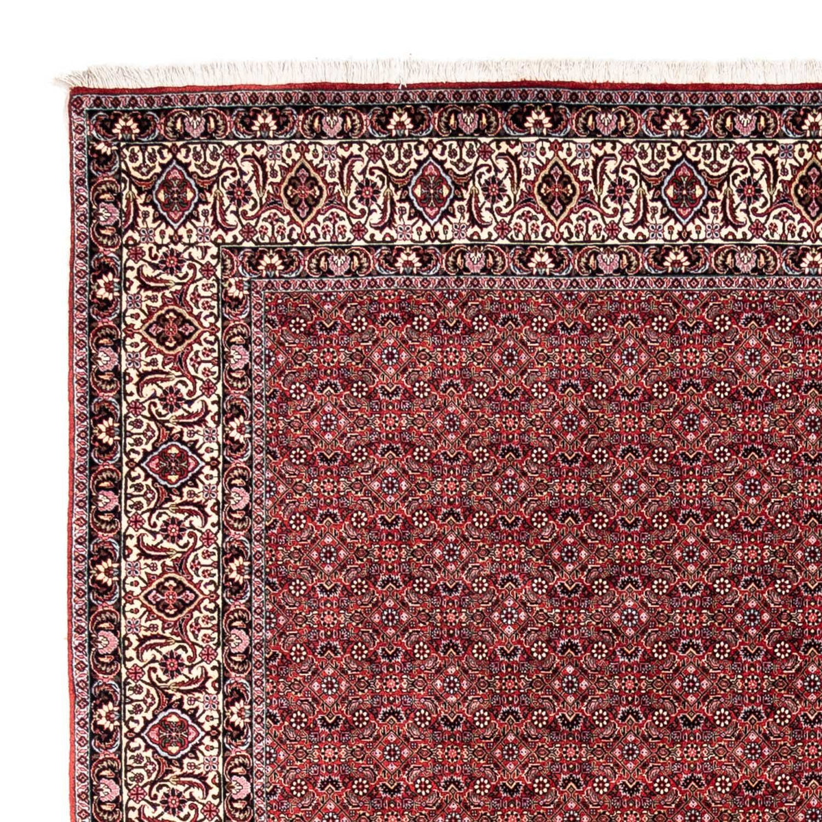 Bidjar - Takab Teppich 252x338cm - Perserteppich - rot