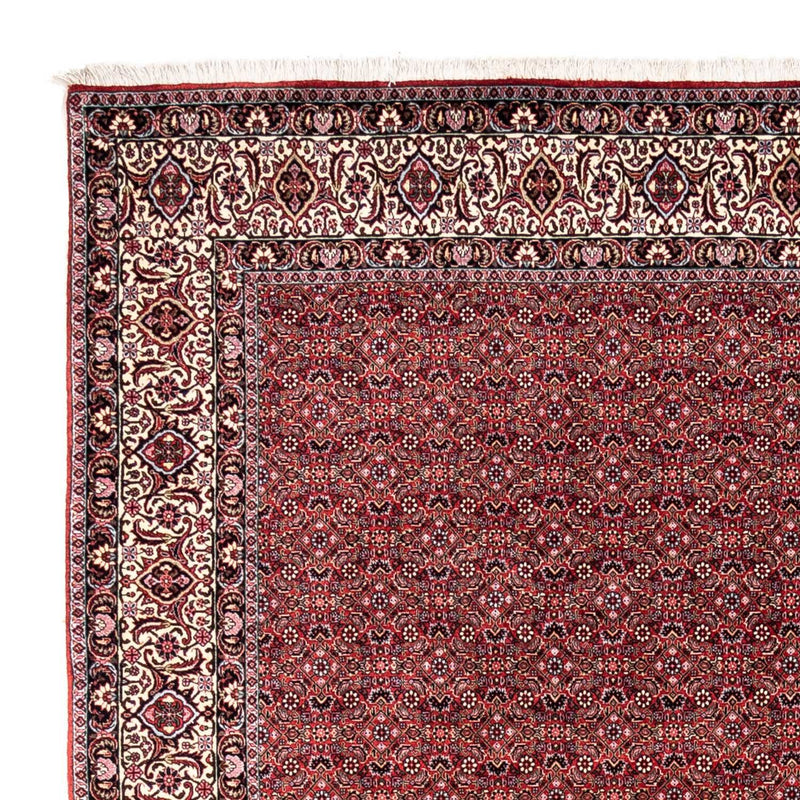 Perserteppich - Bidjar - Royal 338 x 252 cm