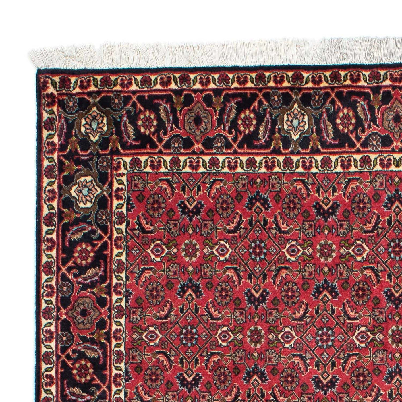 Bidjar - Zanjan Tapis 206x140cm - Tapis persan