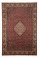 Perserteppich - Bidjar 295 x 204 cm