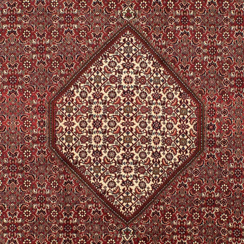 Perserteppich - Bidjar 295 x 204 cm