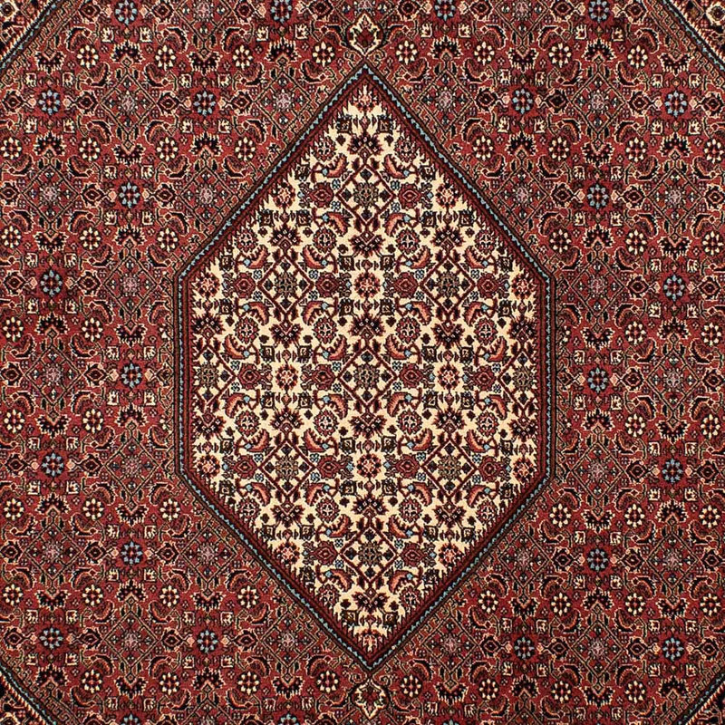 Perserteppich - Bidjar 298 x 206 cm