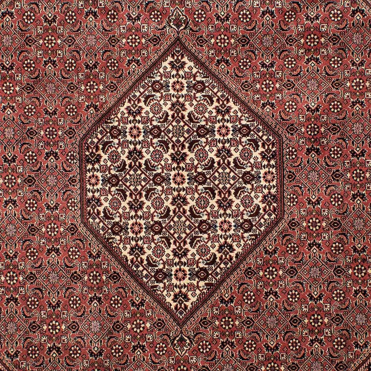 Perserteppich - Bidjar 308 x 204 cm