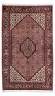 Bidjar - Zanjan Teppich 140x235cm - Perserteppich