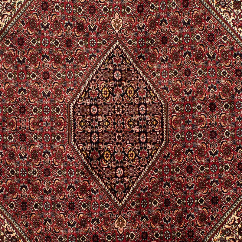 Perserteppich - Bidjar 305 x 200 cm