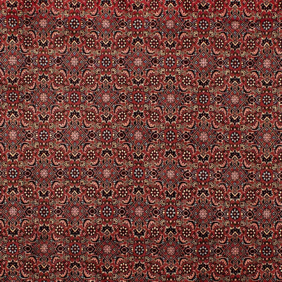 Perserteppich - Bidjar 298 x 198 cm