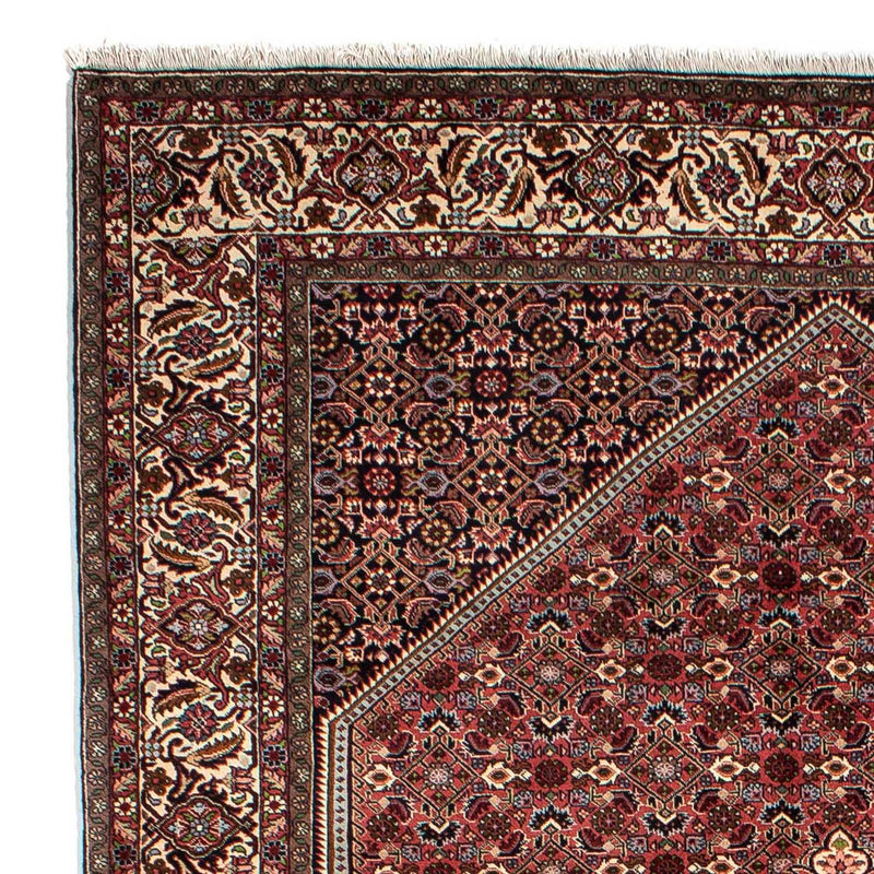 Perserteppich - Bidjar 290 x 203 cm - braun