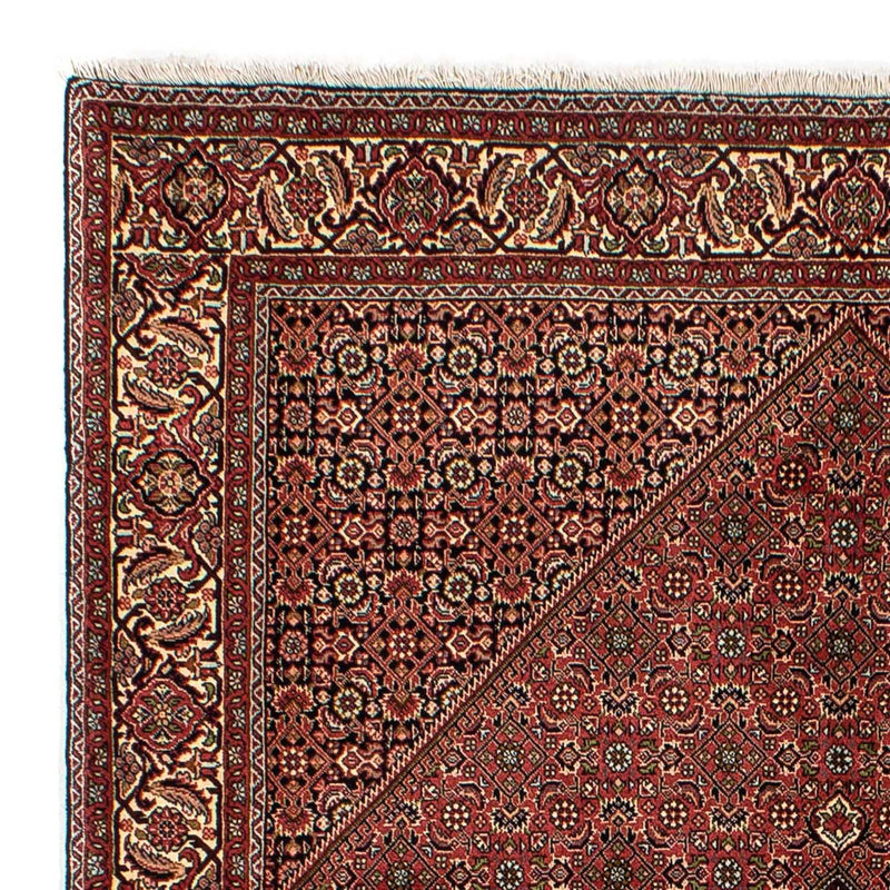 Perserteppich - Bidjar 265 x 171 cm