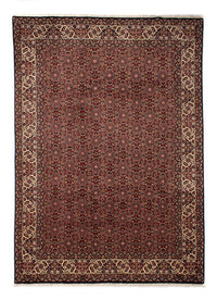 Tapis persan - Bidjar - 292 x 198 cm - marron