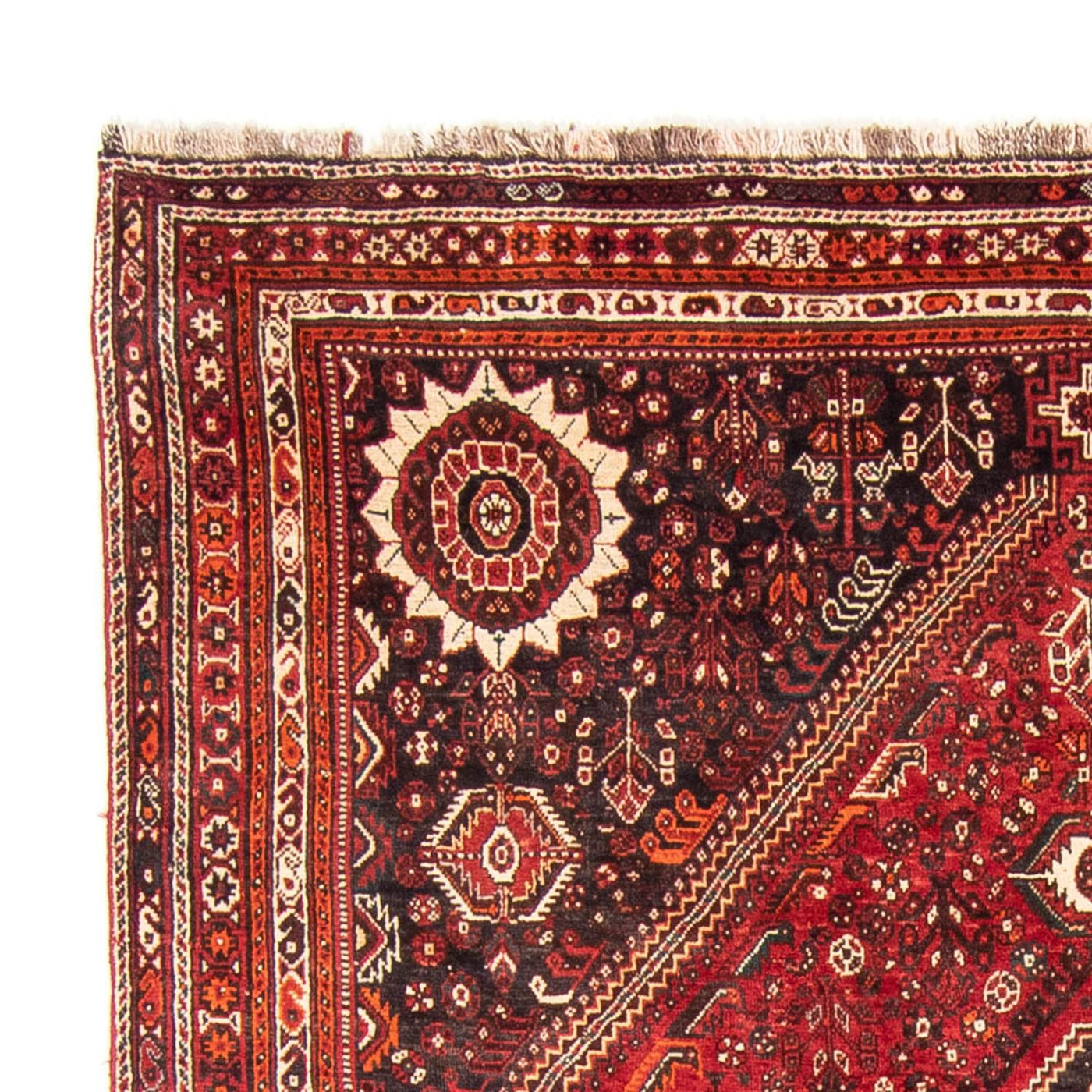 Qashqai Tappeto 328x215cm - Tappeto persiano