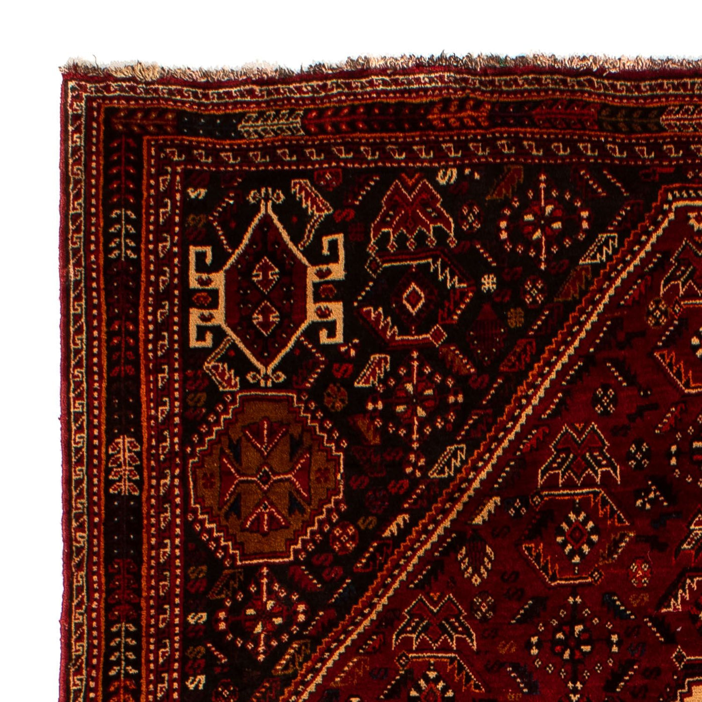 Qashqai Tapis 275x182cm - Tapis persan