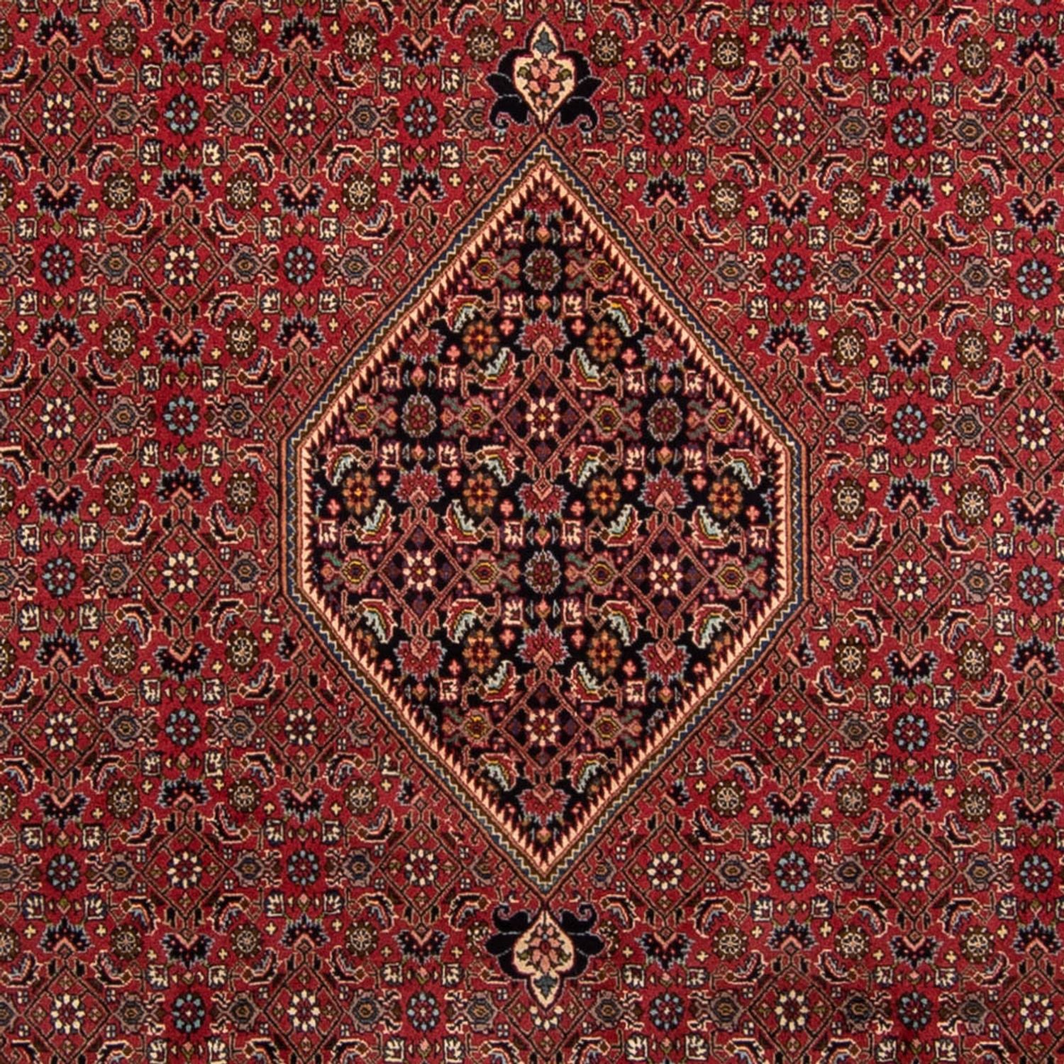 Perserteppich - Bidjar 343 x 248 cm