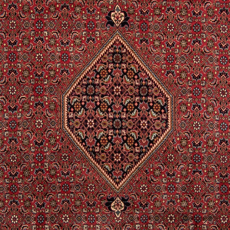 Perserteppich - Bidjar 343 x 248 cm