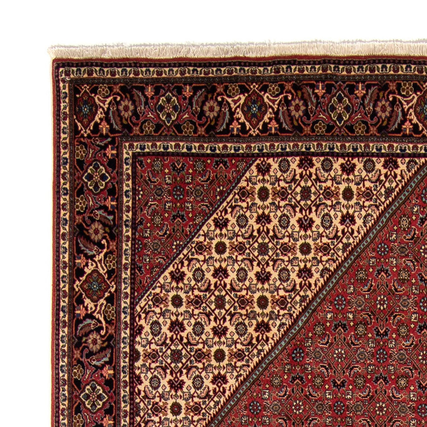 Tapis de Bidjar Tapis 343x248cm - Tapis persan