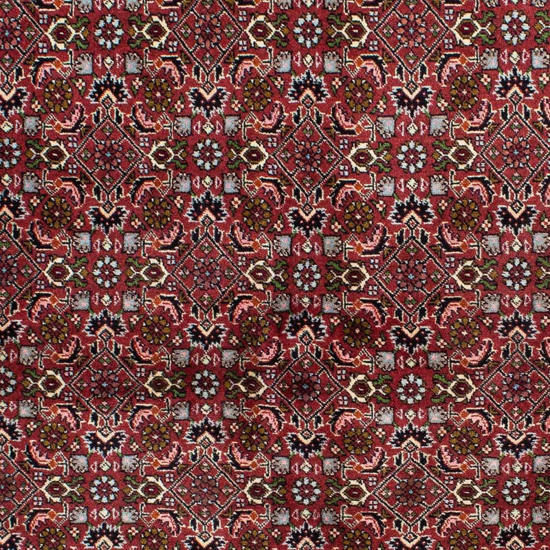 Perserteppich - Bidjar 231 x 138 cm