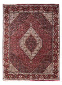 Tappeto Persero - Bidjar - 338 x 249 cm - rosso