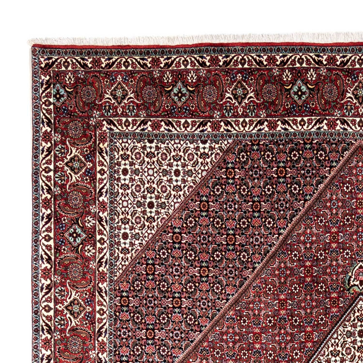 Bidjar - Takab Tappeto 338x249cm - Tappeto persiano