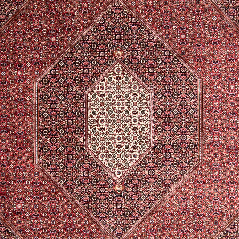 Perserteppich - Bidjar 360 x 250 cm