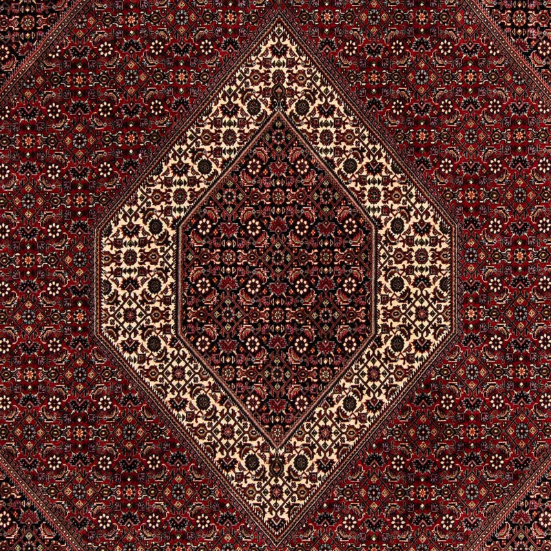 Perserteppich - Bidjar 263 x 203 cm