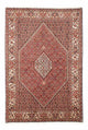 Perserteppich - Bidjar 258 x 174 cm