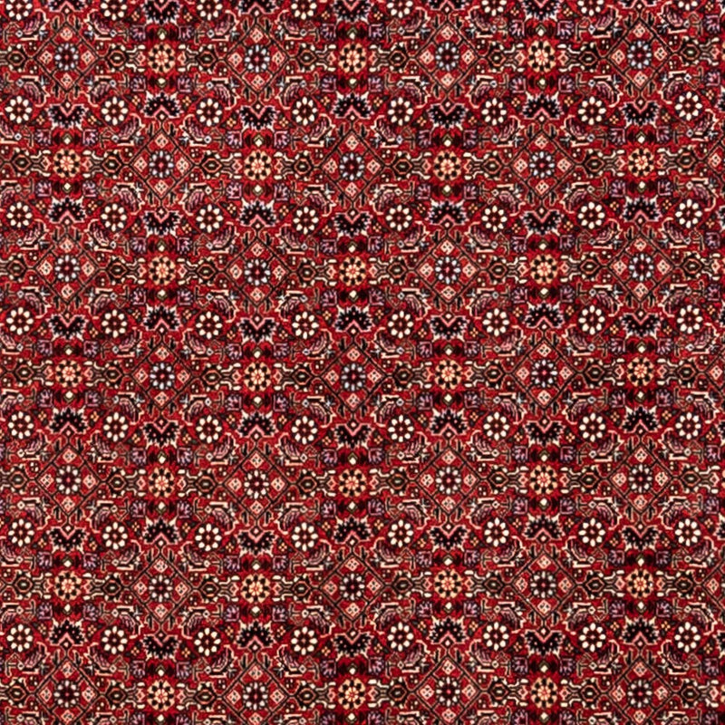 Perserteppich - Bidjar - Royal 340 x 248 cm - rot