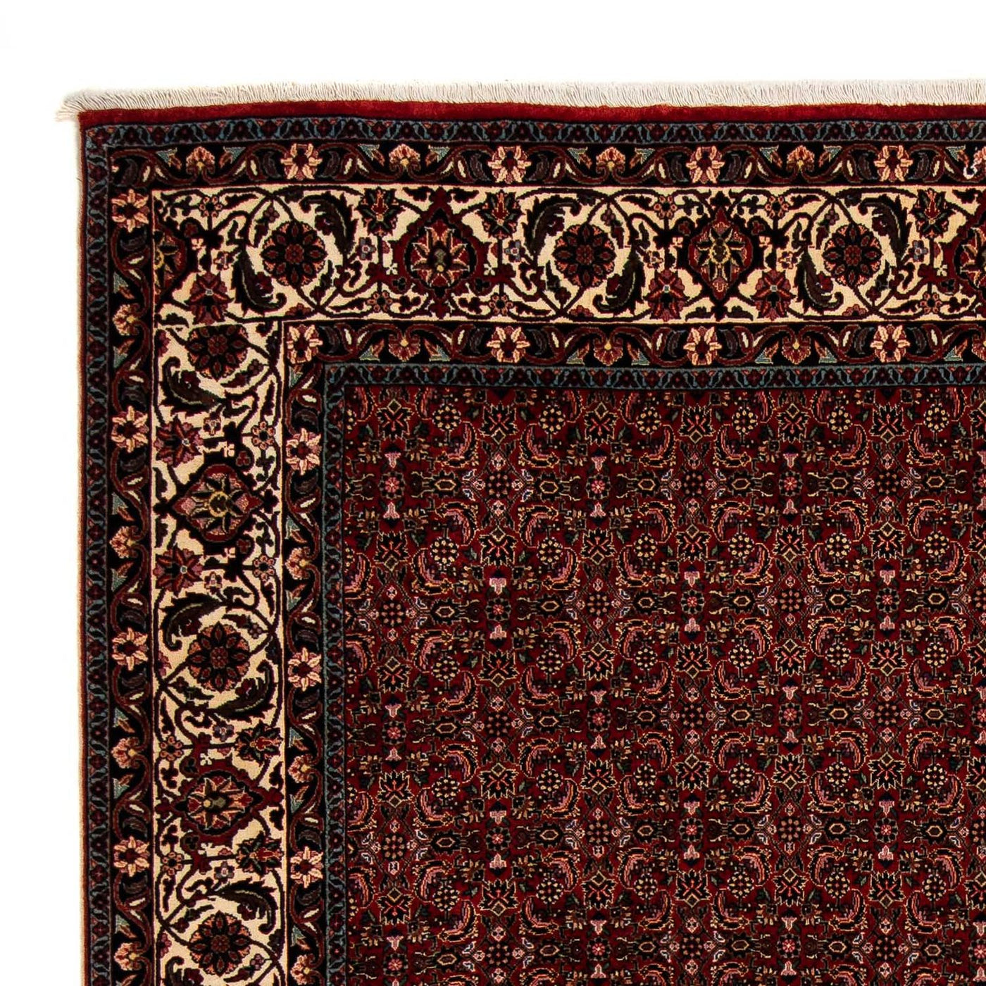 Bidjar Teppich 249x202cm - Perserteppich