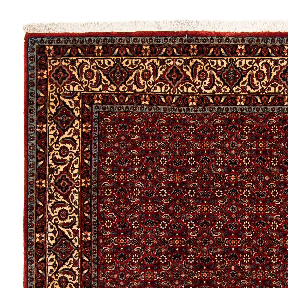 Bidjar Tappeto 200x207cm - Tappeto persiano - rosso scuro