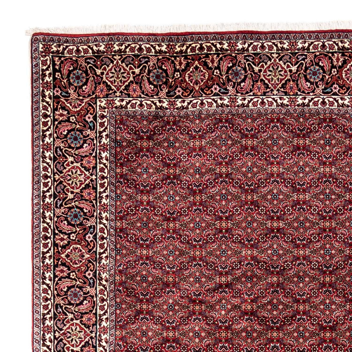 Perserteppich - Bidjar - Royal 337 x 252 cm - rot