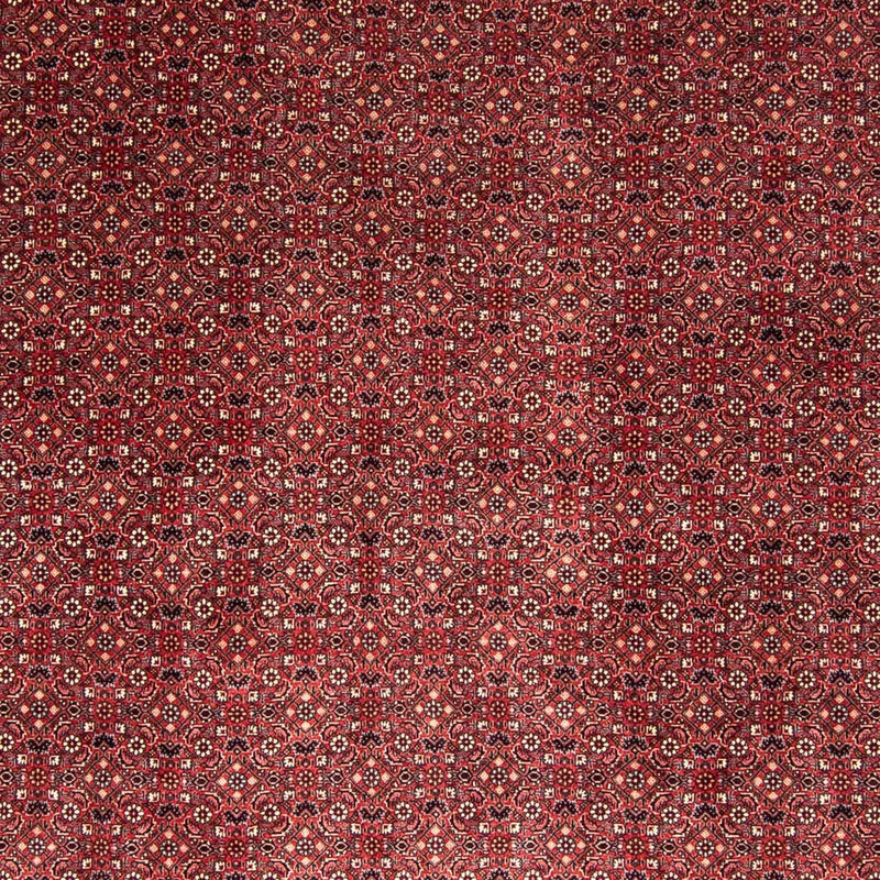 Perserteppich - Bidjar 338 x 258 cm